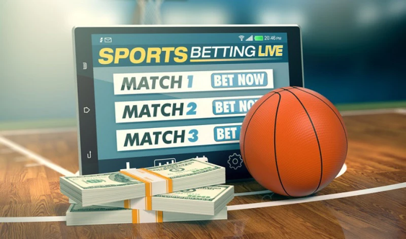 Basketball betting experience